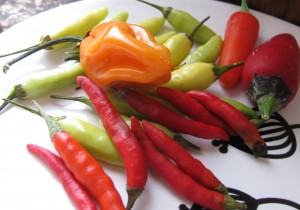 thai, tabasco, fish and habanero peppers